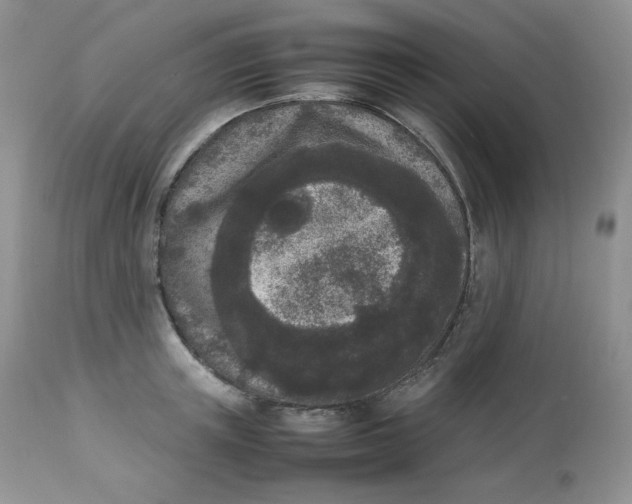 X0000112850851200909111444