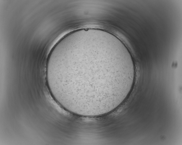 X0000112850852200909111444