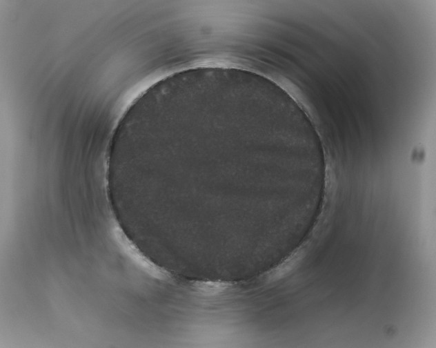 X0000112850854200909111444