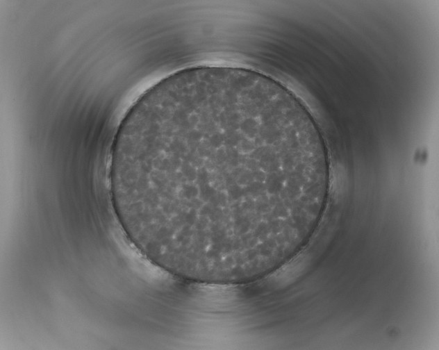 X0000112850856200909111444