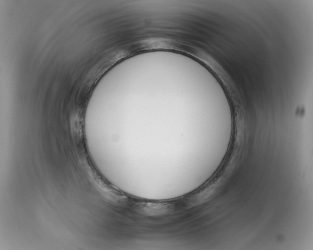 X0000112850857200909111444