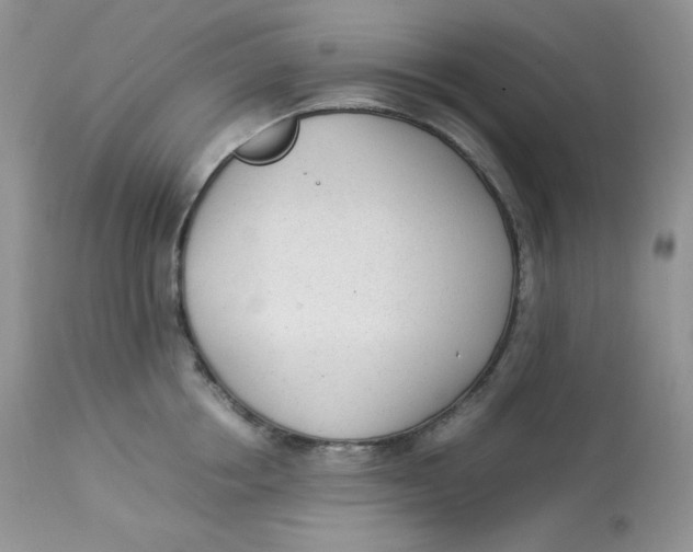 X0000112850858200909111444