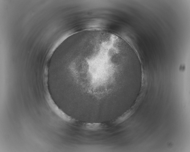 X0000112850859200909111444