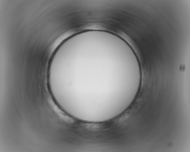 X0000112850861200909111444