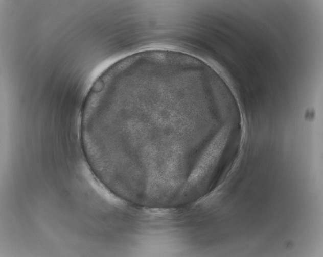 X0000112850862200909111444