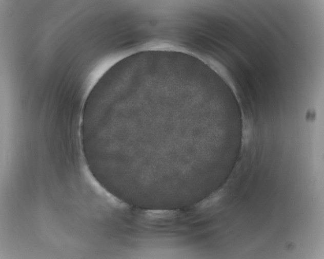 X0000112850863200909111444