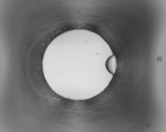 X0000112850865200909111443