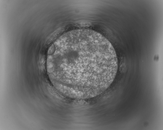 X0000112850866200909111443