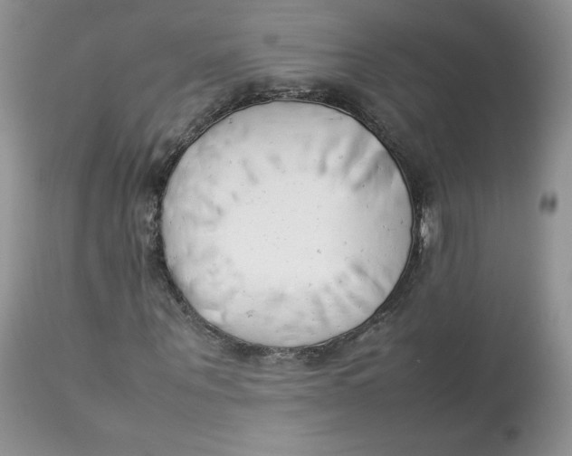 X0000112850867200909111443