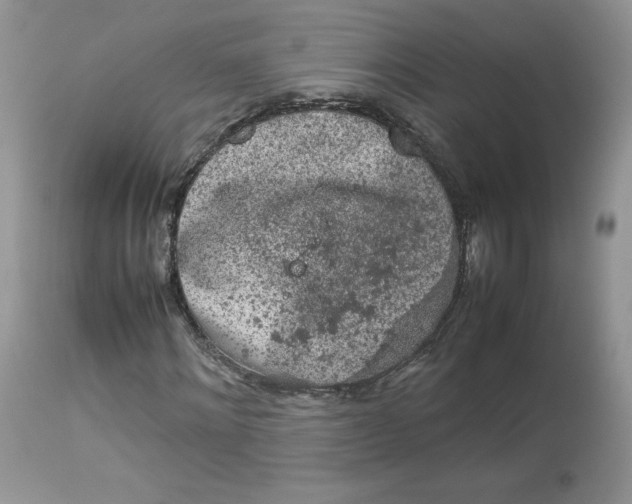 X0000112850868200909111443