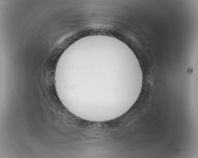 X0000112850869200909111443