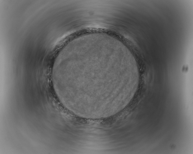 X0000112850870200909111443