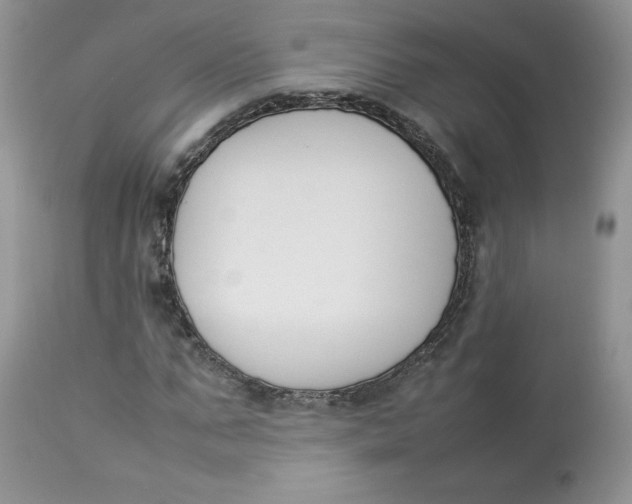 X0000112850871200909111443