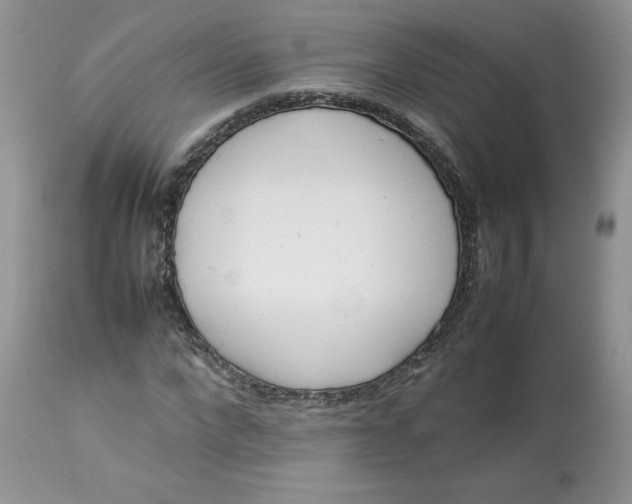 X0000112850872200909111443