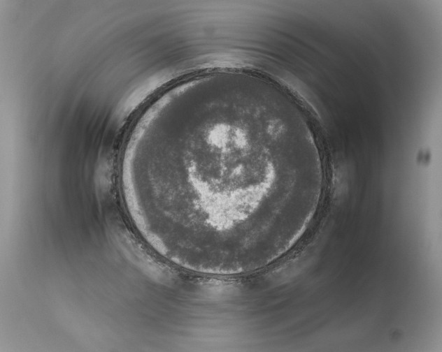 X0000112850874200909111443