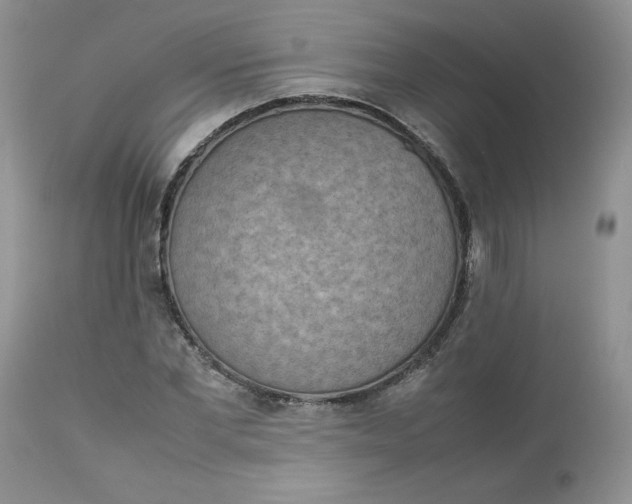 X0000112850877200909111443