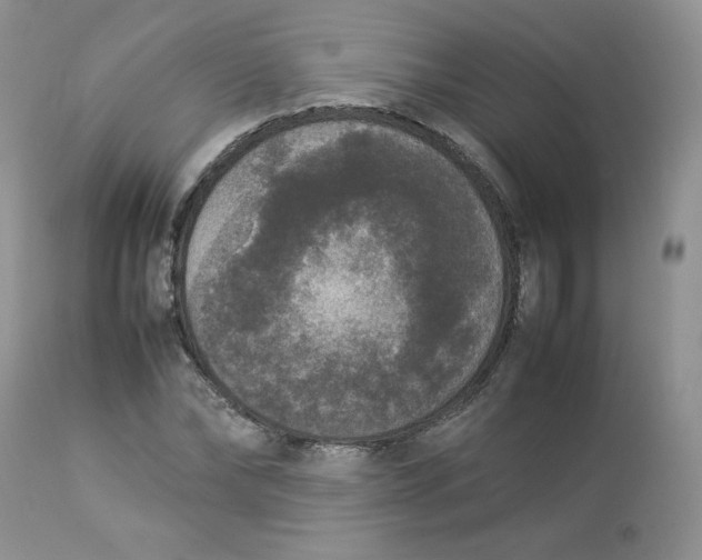 X0000112850878200909111443