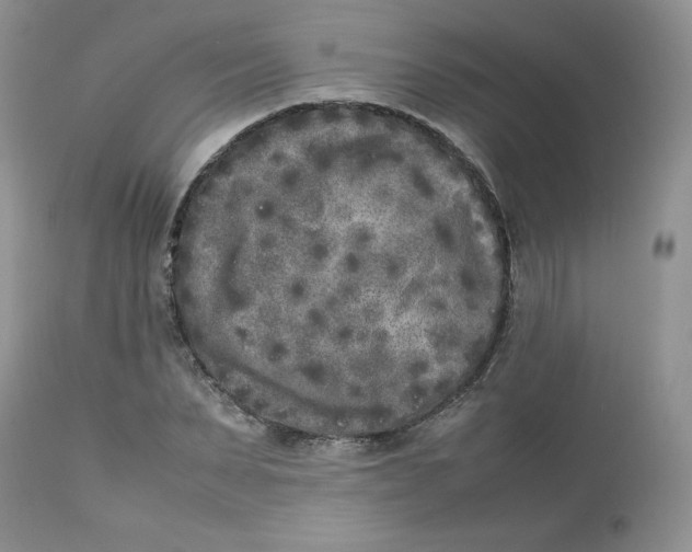 X0000112850879200909111443