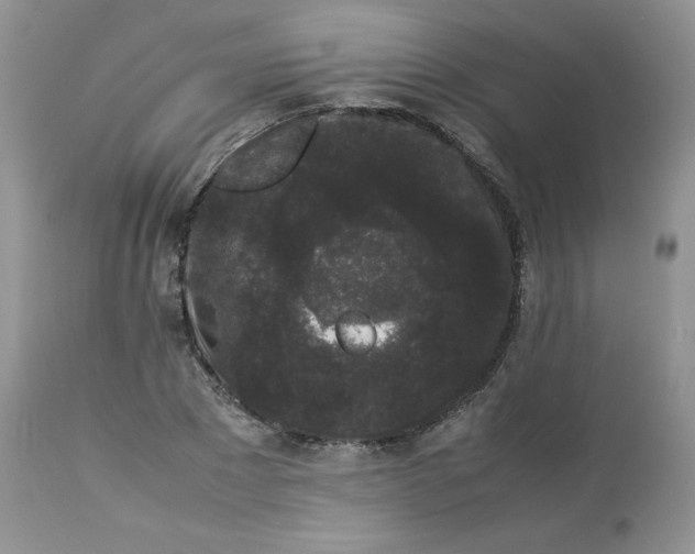 X0000112850881200909111443