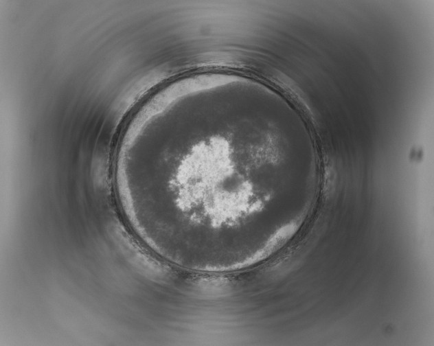 X0000112850882200909111443