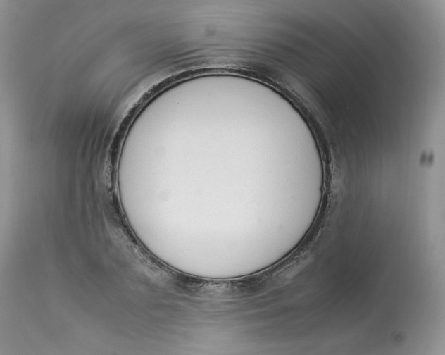 X0000112850883200909111443