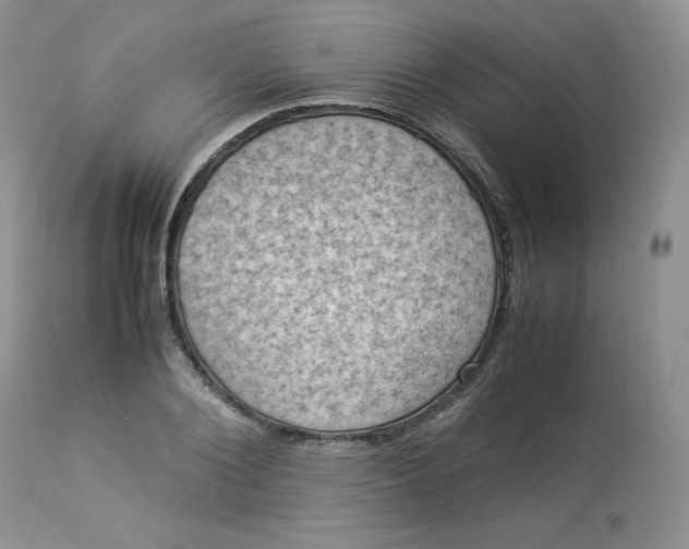 X0000112850884200909111443