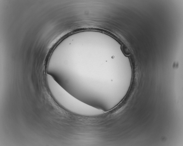 X0000112850885200909111443