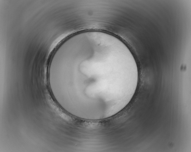 X0000112850886200909111443