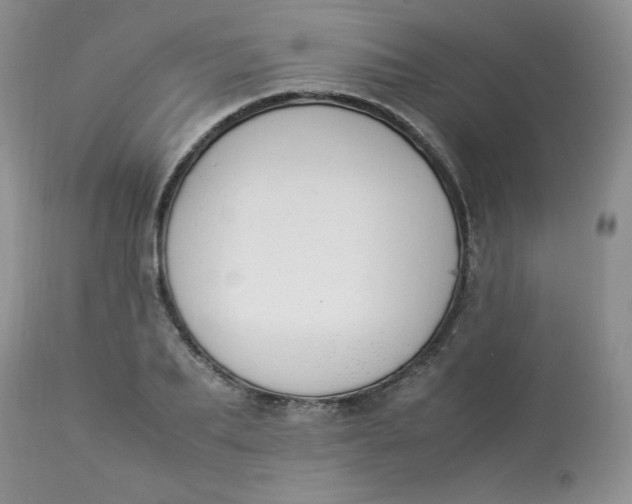 X0000112850887200909111443