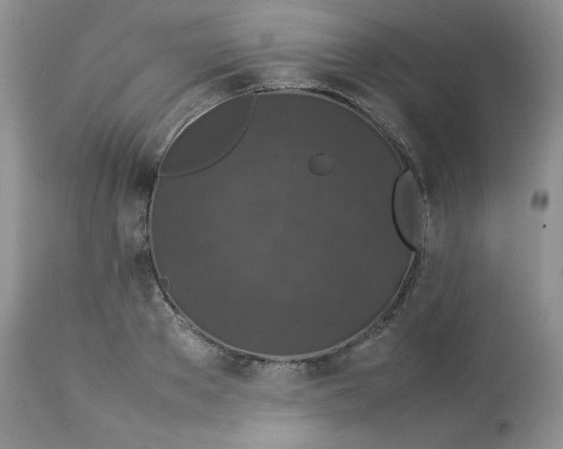 X0000112850889200909111443