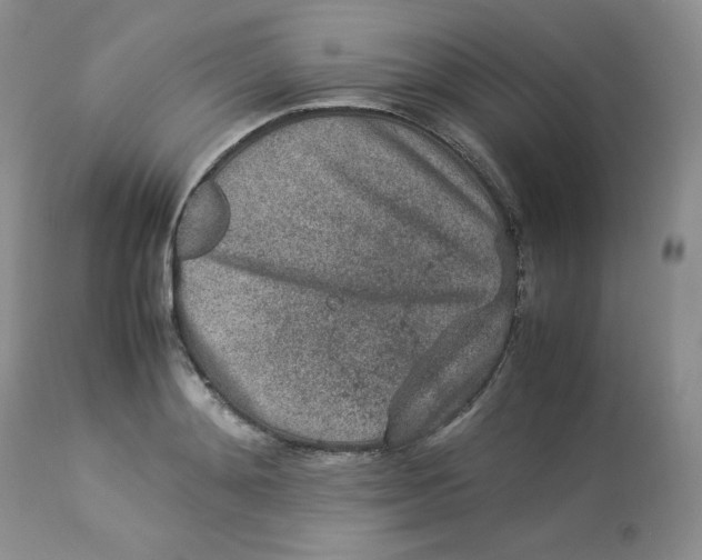 X0000112850892200909111443