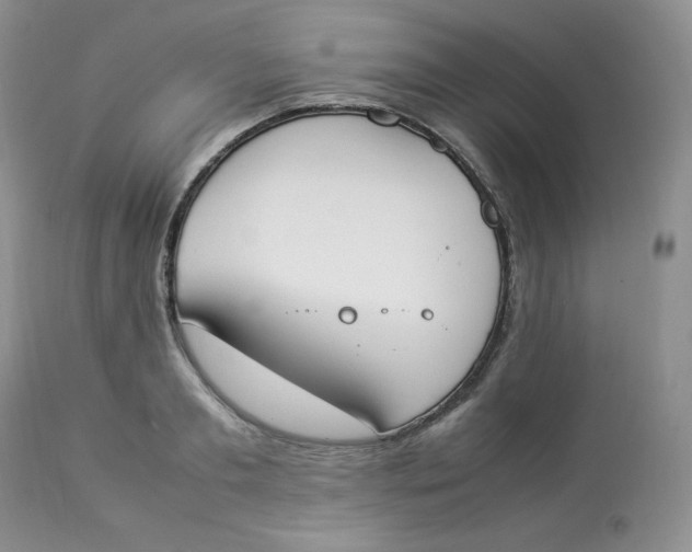 X0000112850893200909111443