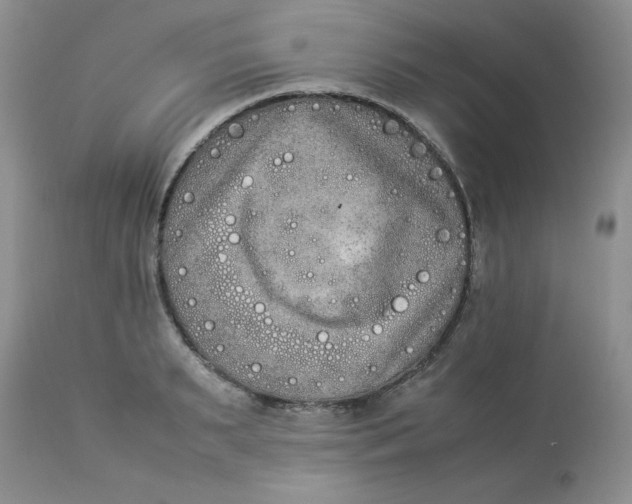 X0000112850895200909111443