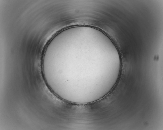 X0000112850896200909111443