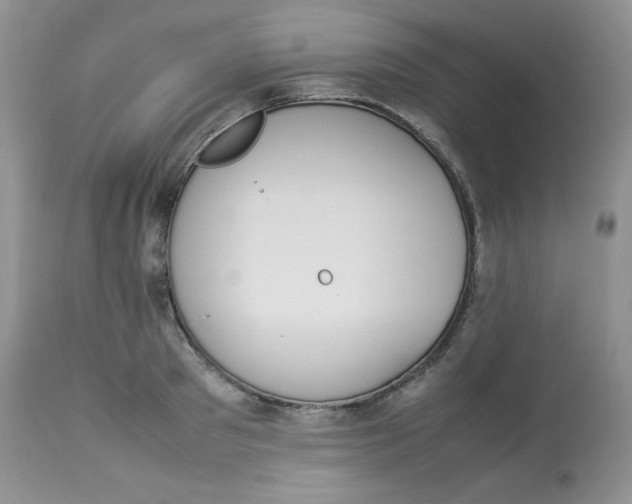 X0000112850897200909111443