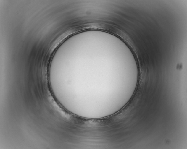 X0000112850898200909111443