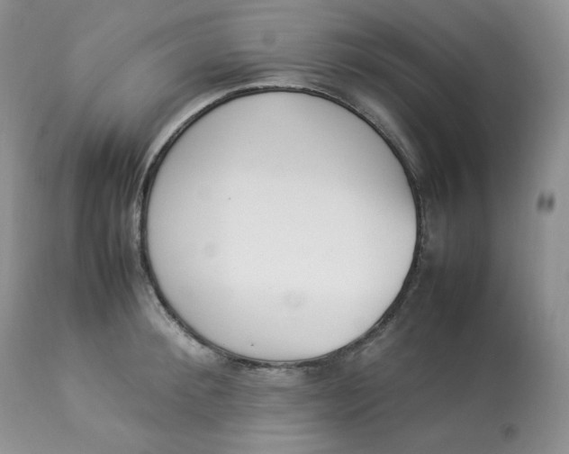 X0000112850900200909111443