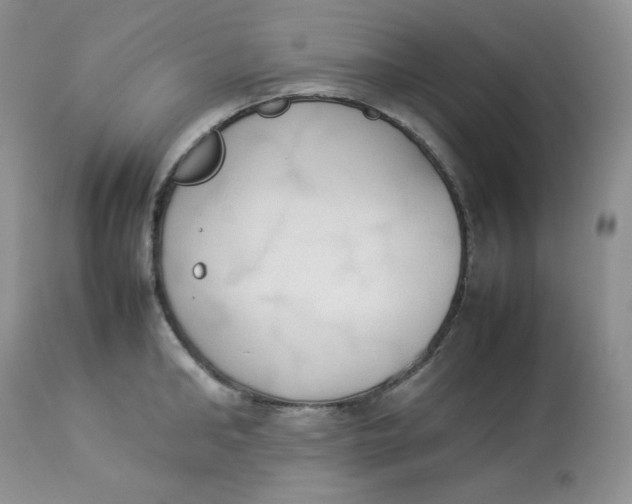 X0000112850902200909111443