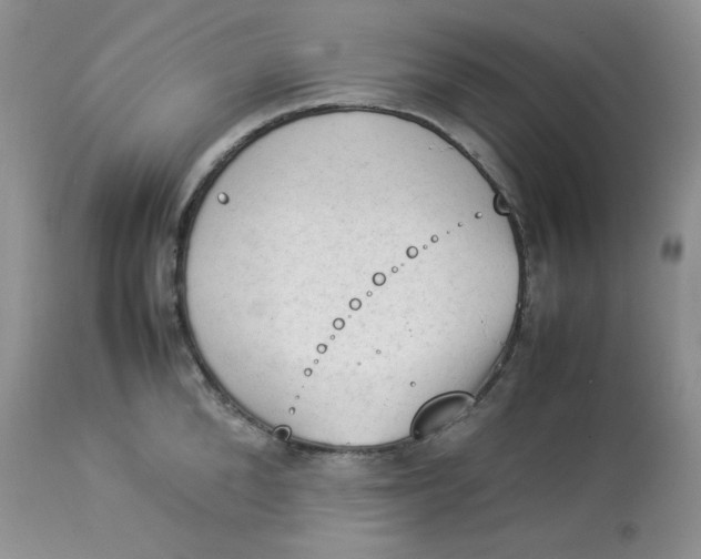 X0000112850904200909111443