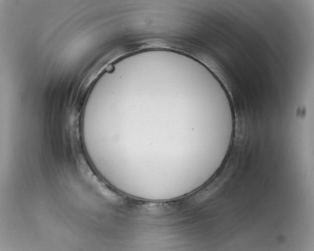 X0000112850906200909111443