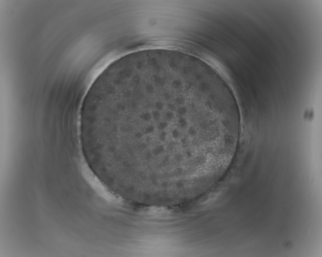 X0000112850907200909111443