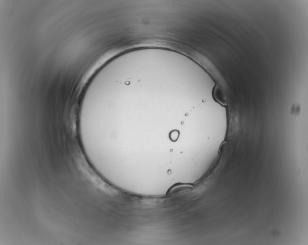 X0000112850908200909111443