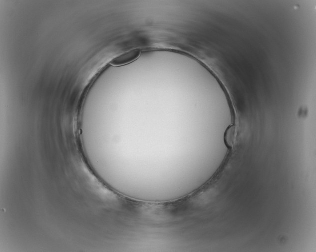 X0000112850909200909111443