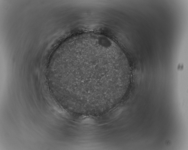 X0000112850913200909111442