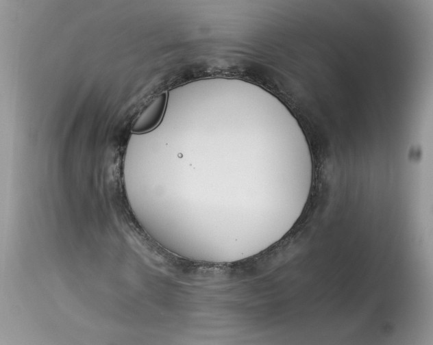 X0000112850914200909111442