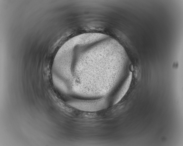 X0000112850915200909111442