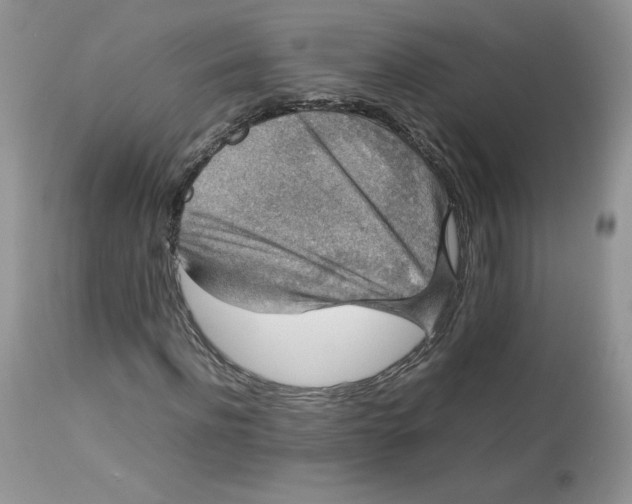 X0000112850916200909111442