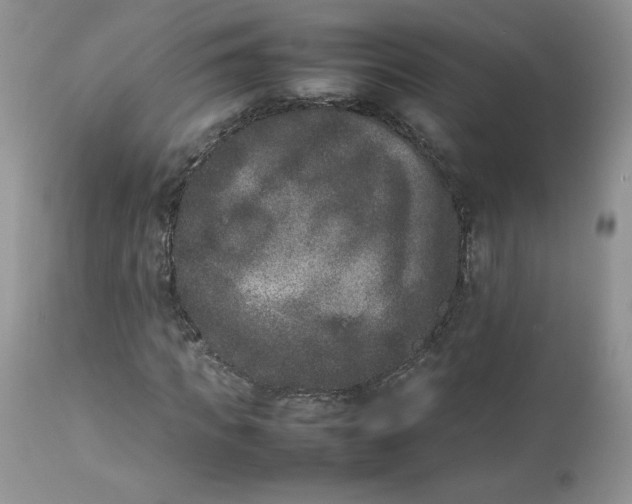 X0000112850917200909111442