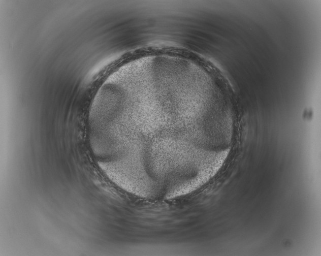 X0000112850919200909111442