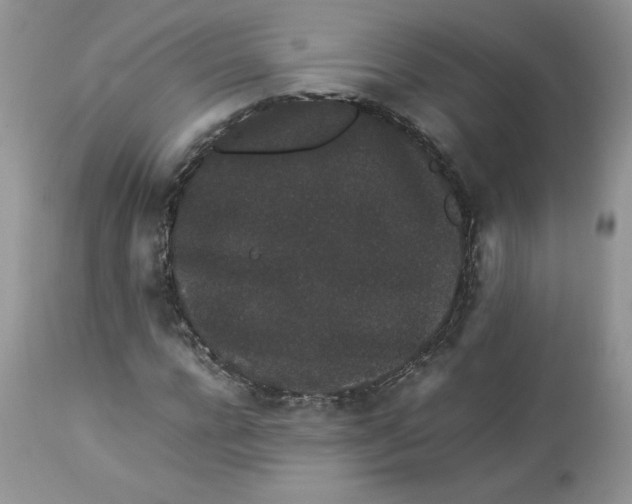 X0000112850920200909111442